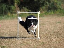 独具匠“芯”创新世界 | 奥之心发布新品 OM-1 与 PRO 镜头及无线遥控器