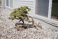 逐光掠影：与 A7RM4 从黄昏到清晨