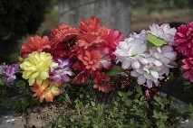 “安澜桥” 作品创作过程与解析