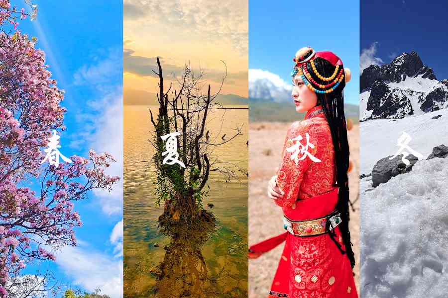 四摄四季 vivo S6 镜头里云南的唯美景色