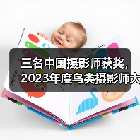 三名中国摄影师获奖，2023年度鸟类摄影师大赛获奖作品公布（图2）