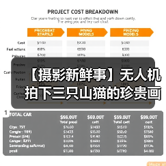 【摄影新鲜事】无人机拍下三只山猫的珍贵画面|极致灰和亮丽黄成 2021 年度色|富士研发高容量存储磁带（图1）
