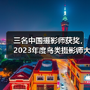 三名中国摄影师获奖，2023年度鸟类摄影师大赛获奖作品公布（图3）