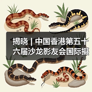 揭晓 | 中国香港第五十六届沙龙影友会国际摄影展获奖作品公布（图3）