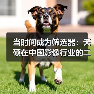 当时间成为筛选器：天硕在中国影像行业的二十年好口碑之路（图2）