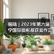 揭晓 | 2023年第六届贝宁国际摄影展获奖作品公布（图3）