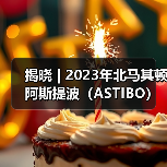 揭晓 | 2023年北马其顿阿斯提波（ASTIBO）国际艺术摄影大赛获奖作品公布（图2）