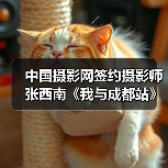 中国摄影网签约摄影师张西南《我与成都站》（图2）
