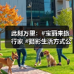 此刻万里：#宝丽来旅行家 #摄影生活方式公众项目（图3）