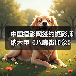 中国摄影网签约摄影师纳木甲《八廓街印象》(图4) 中国摄影网签约摄影师纳木甲《八廓街印象》(图4)
