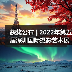 获奖公布 | 2022年第五届深圳国际摄影艺术展览获奖作品——黑白数码影像组（图3）