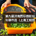 第九届济南国际摄影双年展作品（上海工程技术大学）（图4）