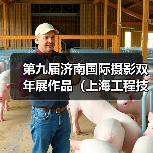 第九届济南国际摄影双年展作品（上海工程技术大学）（图3）