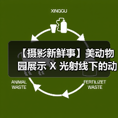 【摄影新鲜事】美动物园展示 X 光射线下的动物们 | 黑内尔推出机顶灯柔光套装 | 维卓推出 4 只大光圈定焦镜头| LumaLabs 推出仅 13 克云台快装板(图4) 【摄影新鲜事】美动物园展示 X 光射线下的动物们 | 黑内尔推出机顶灯柔光套装 | 维卓推出 4 只大光圈定焦镜头| LumaLabs 推出仅 13 克云台快装板(图4)