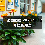 读者园地 2020 年 12 月摄影月赛(图2) 读者园地 2020 年 12 月摄影月赛(图2)