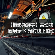 【摄影新鲜事】美动物园展示 X 光射线下的动物们 | 黑内尔推出机顶灯柔光套装 | 维卓推出 4 只大光圈定焦镜头| LumaLabs 推出仅 13 克云台快装板(图3) 【摄影新鲜事】美动物园展示 X 光射线下的动物们 | 黑内尔推出机顶灯柔光套装 | 维卓推出 4 只大光圈定焦镜头| LumaLabs 推出仅 13 克云台快装板(图3)