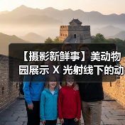 【摄影新鲜事】美动物园展示 X 光射线下的动物们 | 黑内尔推出机顶灯柔光套装 | 维卓推出 4 只大光圈定焦镜头| LumaLabs 推出仅 13 克云台快装