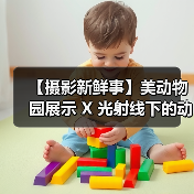 【摄影新鲜事】美动物园展示 X 光射线下的动物们 | 黑内尔推出机顶灯柔光套装 | 维卓推出 4 只大光圈定焦镜头| LumaLabs 推出仅 13 克云台快装