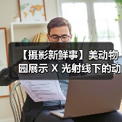 【摄影新鲜事】美动物园展示 X 光射线下的动物们 | 黑内尔推出机顶灯柔光套装 | 维卓推出 4 只大光圈定焦镜头| LumaLabs 推出仅 13 克云台快装板(图3) 【摄影新鲜事】美动物园展示 X 光射线下的动物们 | 黑内尔推出机顶灯柔光套装 | 维卓推出 4 只大光圈定焦镜头| LumaLabs 推出仅 13 克云台快装板(图3)