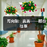 周向阳:嘉善——那些往事(图2) 周向阳:嘉善——那些往事(图2)