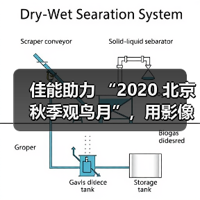 佳能助力 “2020 北京秋季观鸟月”,用影像拉近公众与自然生态距离(图2) 佳能助力 “2020 北京秋季观鸟月”,用影像拉近公众与自然生态距离(图2)