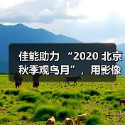 佳能助力 “2020 北京秋季观鸟月”，用影像拉近公众与自然生态距离（图1）