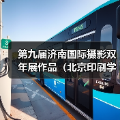第九届济南国际摄影双年展作品（北京印刷学院、山东工艺美术学院）（图3）