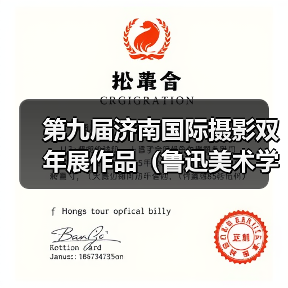 第九届济南国际摄影双年展作品（鲁迅美术学院）（图2）