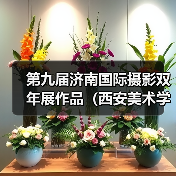 第九届济南国际摄影双年展作品(西安美术学院)(图3) 第九届济南国际摄影双年展作品(西安美术学院)(图3)