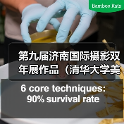 第九届济南国际摄影双年展作品（清华大学美术学院）（图4）