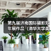 第九届济南国际摄影双年展作品（清华大学美术学院）（图2）