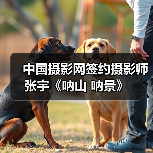 中国摄影网签约摄影师张宇《呐山 呐景》（图1）