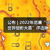 公布 | 2022年尼康“小世界摄影大赛”评选揭晓(图4) 公布 | 2022年尼康“小世界摄影大赛”评选揭晓(图4)