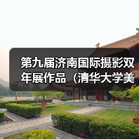 第九届济南国际摄影双年展作品（清华大学美术学院）（图1）