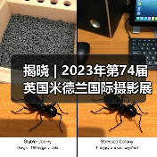 揭晓 | 2023年第74届英国米德兰国际摄影展获奖作品（图4）