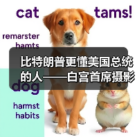 比特朗普更懂美国总统的人——白宫首席摄影师(图2) 比特朗普更懂美国总统的人——白宫首席摄影师(图2)