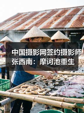中国摄影网签约摄影师张西南:摩诃池重生(图3) 中国摄影网签约摄影师张西南:摩诃池重生(图3)
