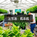 汪雪涯:我非我(图1) 汪雪涯:我非我(图1)