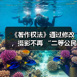 《著作权法》通过修改，摄影不再 “二等公民”（图4）