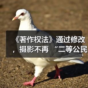 《著作权法》通过修改，摄影不再 “二等公民”（图2）
