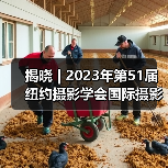 揭晓 | 2023年第51届纽约摄影学会国际摄影展获奖作品公布(图3) 揭晓 | 2023年第51届纽约摄影学会国际摄影展获奖作品公布(图3)