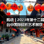 揭晓 | 2023年第十二届台中国际摄影艺术展获奖作品 - 爱专题组（图3）