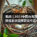 揭晓 | 2023中国台湾国际摄影巡回赛获奖作品公布——台北摄影学会(图1) 揭晓 | 2023中国台湾国际摄影巡回赛获奖作品公布——台北摄影学会(图1)