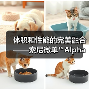 体积和性能的完美融合——索尼微单™Alpha 7C(图3) 体积和性能的完美融合——索尼微单™Alpha 7C(图3)