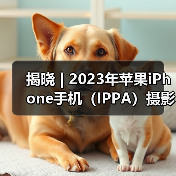 揭晓 | 2023年苹果iPhone手机（IPPA）摄影大奖赛获奖名单公布（图3）