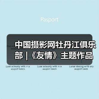 中国摄影网牡丹江俱乐部 |《友情》主题作品展(图2) 中国摄影网牡丹江俱乐部 |《友情》主题作品展(图2)