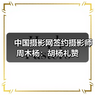 中国摄影网签约摄影师周木杨:胡杨礼赞(图4) 中国摄影网签约摄影师周木杨:胡杨礼赞(图4)