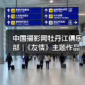 中国摄影网牡丹江俱乐部 |《友情》主题作品展(图1) 中国摄影网牡丹江俱乐部 |《友情》主题作品展(图1)