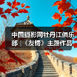 中国摄影网牡丹江俱乐部 |《友情》主题作品展(图3) 中国摄影网牡丹江俱乐部 |《友情》主题作品展(图3)