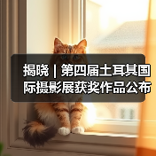 揭晓 | 第四届土耳其国际摄影展获奖作品公布(图1) 揭晓 | 第四届土耳其国际摄影展获奖作品公布(图1)